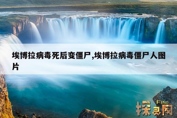 埃博拉病毒死后变僵尸,埃博拉病毒僵尸人图片