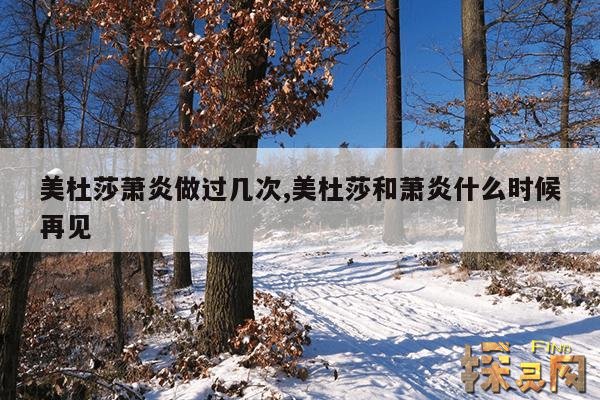 美杜莎萧炎做过几次,美杜莎和萧炎什么时候再见