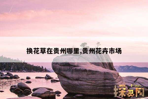 换花草在贵州哪里,贵州花卉市场