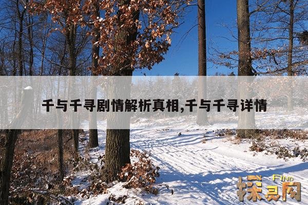 千与千寻剧情解析真相,千与千寻详情