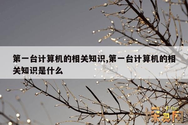 第一台计算机的相关知识,第一台计算机的相关知识是什么