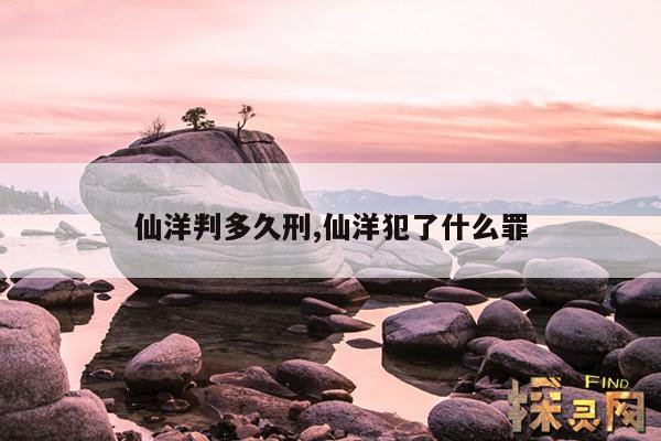仙洋判多久刑,仙洋犯了什么罪