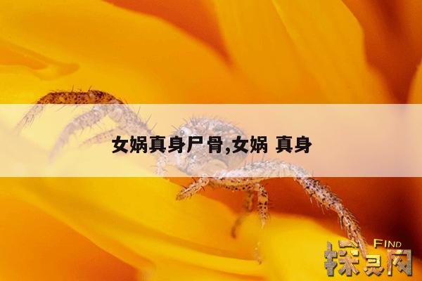 女娲真身尸骨,女娲 真身