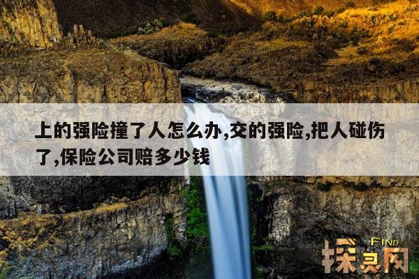 上的强险撞了人怎么办,交的强险,把人碰伤了,保险公司赔多少钱