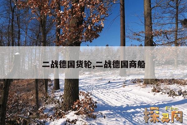 二战德国货轮,二战德国商船