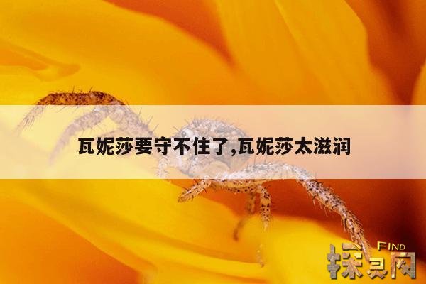 瓦妮莎要守不住了,瓦妮莎太滋润