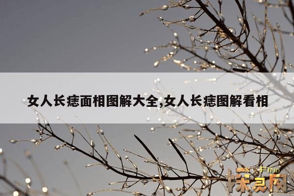 女人长痣面相图解大全,女人长痣图解看相