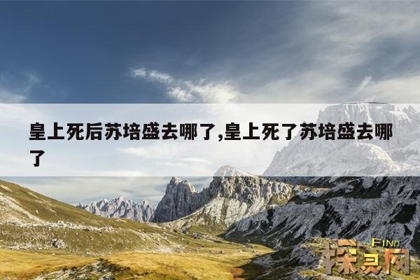 皇上死后苏培盛去哪了,皇上死了苏培盛去哪了