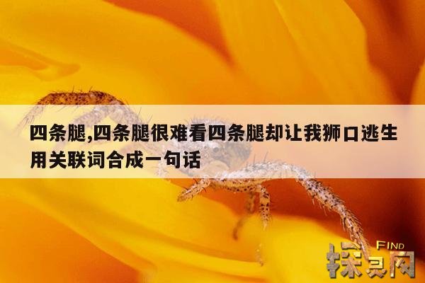 四条腿,四条腿很难看四条腿却让我狮口逃生用关联词合成一句话
