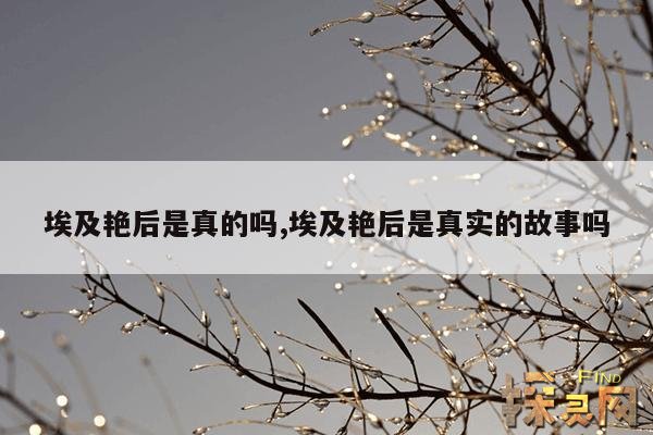 埃及艳后是真的吗,埃及艳后是真实的故事吗