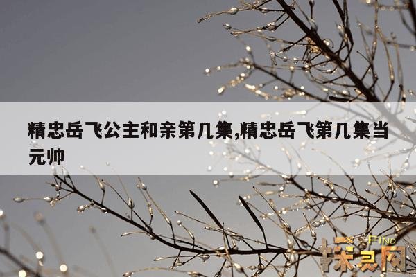 精忠岳飞公主和亲第几集,精忠岳飞第几集当元帅