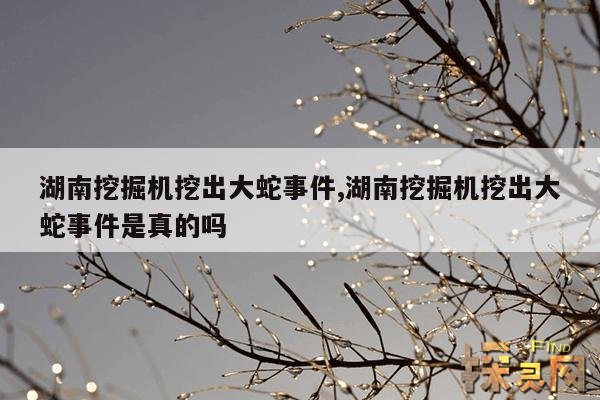 湖南挖掘机挖出大蛇事件,湖南挖掘机挖出大蛇事件是真的吗