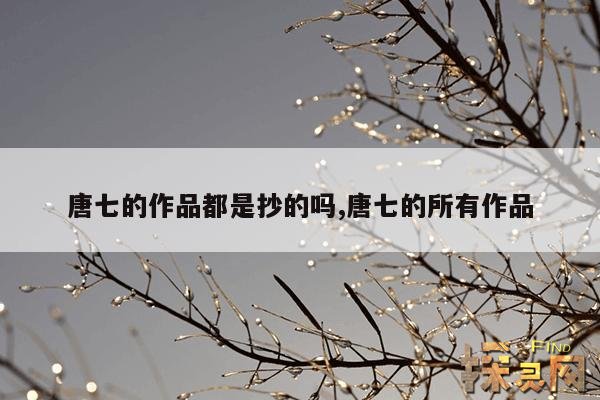 唐七的作品都是抄的吗,唐七的所有作品