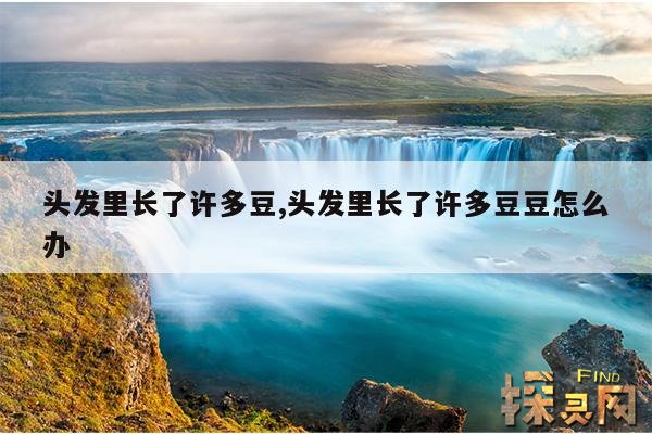 头发里长了许多豆,头发里长了许多豆豆怎么办