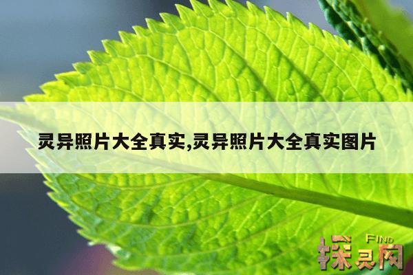 灵异照片大全真实,灵异照片大全真实图片