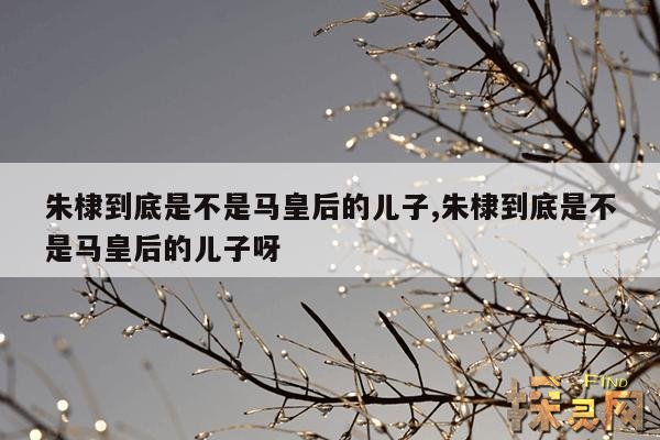 朱棣到底是不是马皇后的儿子,朱棣到底是不是马皇后的儿子呀