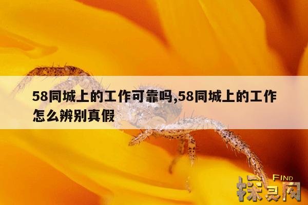 58同城上的工作可靠吗,58同城上的工作怎么辨别真假