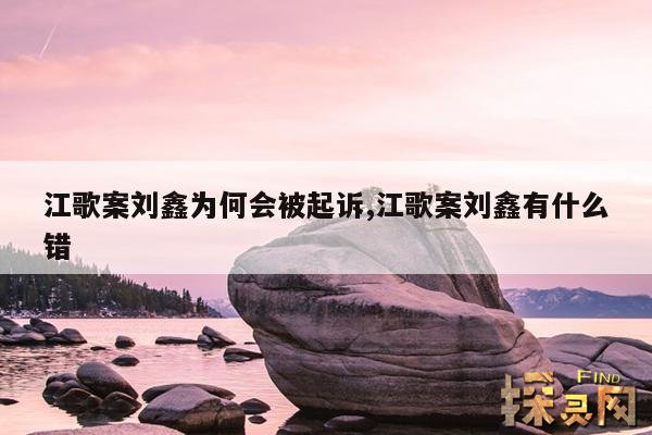 江歌案刘鑫为何会被起诉,江歌案刘鑫有什么错