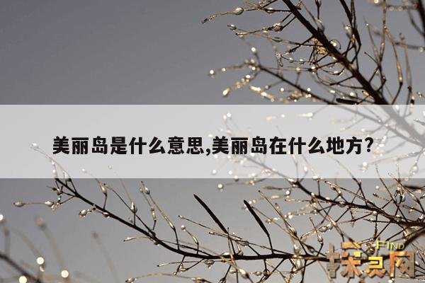 美丽岛是什么意思,美丽岛在什么地方?