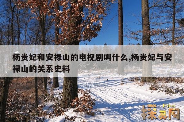 杨贵妃和安禄山的电视剧叫什么,杨贵妃与安禄山的关系史料