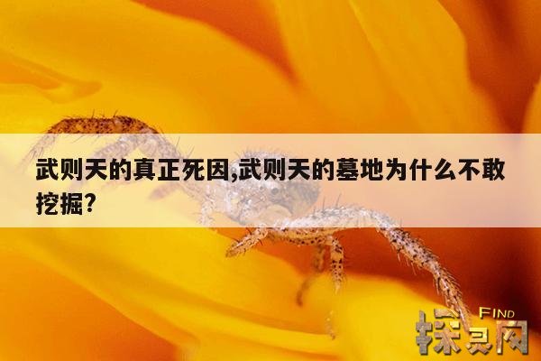 武则天的真正死因,武则天的墓地为什么不敢挖掘?