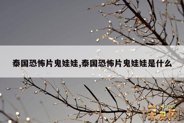 泰国恐怖片鬼娃娃,泰国恐怖片鬼娃娃是什么
