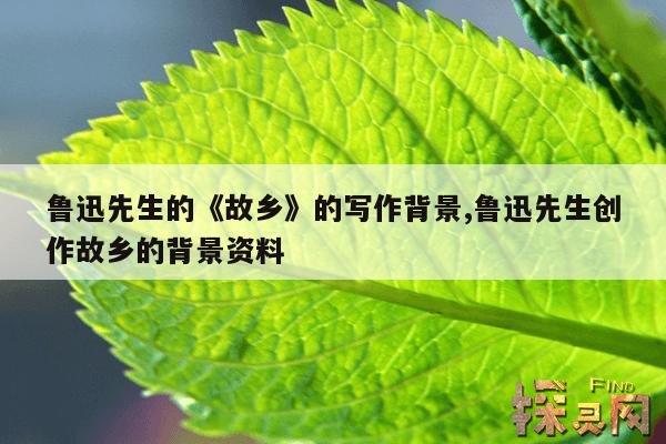 鲁迅先生的《故乡》的写作背景,鲁迅先生创作故乡的背景资料