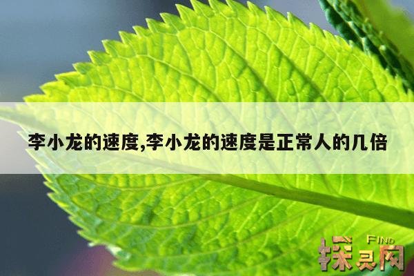 李小龙的速度,李小龙的速度是正常人的几倍