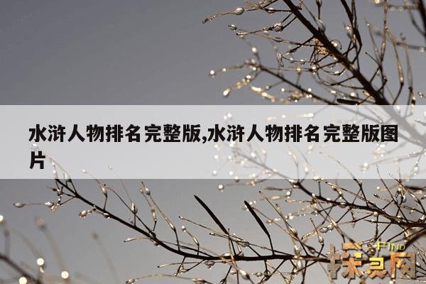 水浒人物排名完整版,水浒人物排名完整版图片