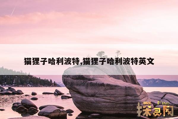 猫狸子哈利波特,猫狸子哈利波特英文