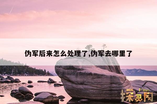 伪军后来怎么处理了,伪军去哪里了