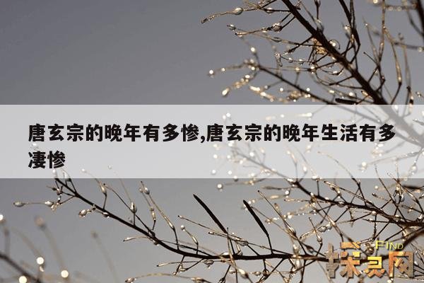 唐玄宗的晚年有多惨,唐玄宗的晚年生活有多凄惨