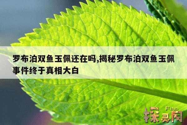 罗布泊双鱼玉佩还在吗,揭秘罗布泊双鱼玉佩事件终于真相大白
