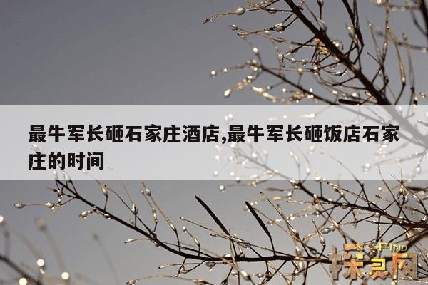 最牛军长砸石家庄酒店,最牛军长砸饭店石家庄的时间