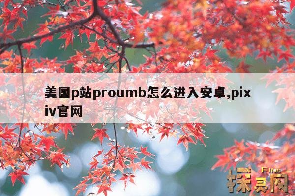 美国p站proumb怎么进入安卓,pixiv官网