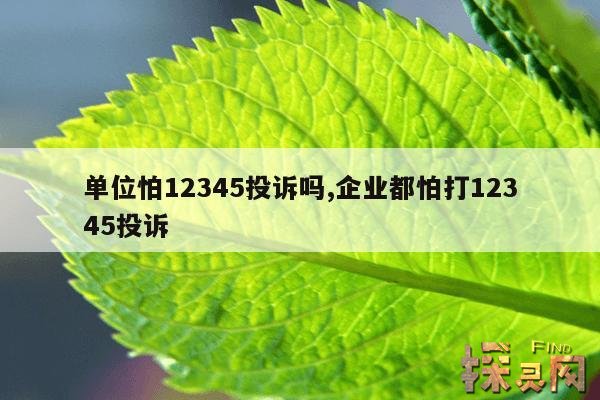 单位怕12345投诉吗,企业都怕打12345投诉