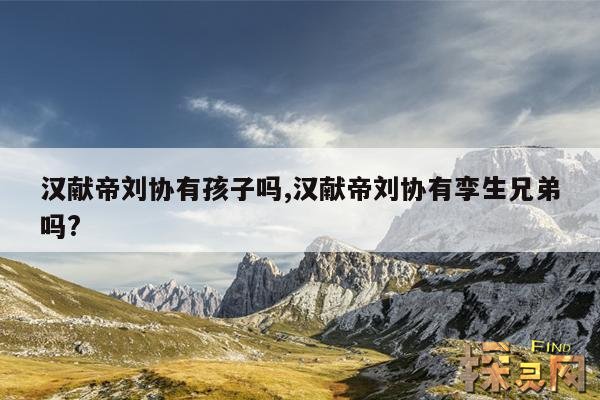 汉献帝刘协有孩子吗,汉献帝刘协有孪生兄弟吗?