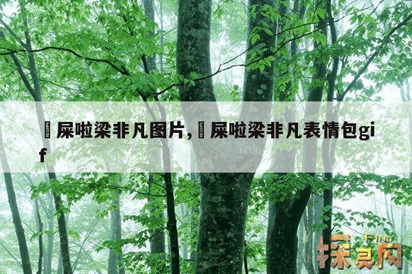 吔屎啦梁非凡图片,吔屎啦梁非凡表情包gif