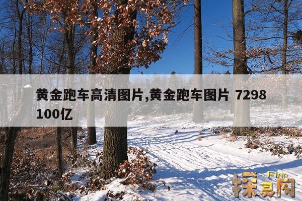 黄金跑车高清图片,黄金跑车图片 7298100亿