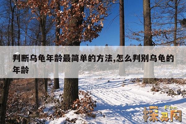 判断乌龟年龄最简单的方法,怎么判别乌龟的年龄
