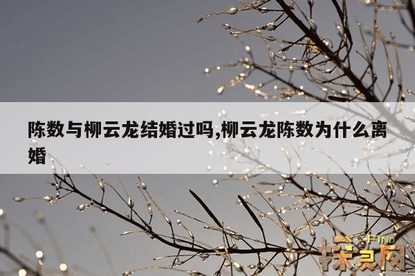 陈数与柳云龙结婚过吗,柳云龙陈数为什么离婚