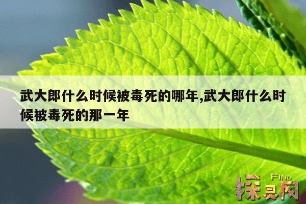 武大郎什么时候被毒死的哪年,武大郎什么时候被毒死的那一年