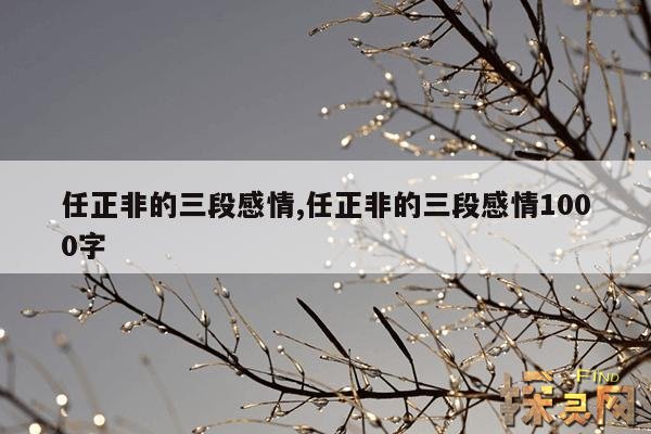 任正非的三段感情,任正非的三段感情1000字