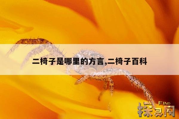 二椅子是哪里的方言,二椅子百科
