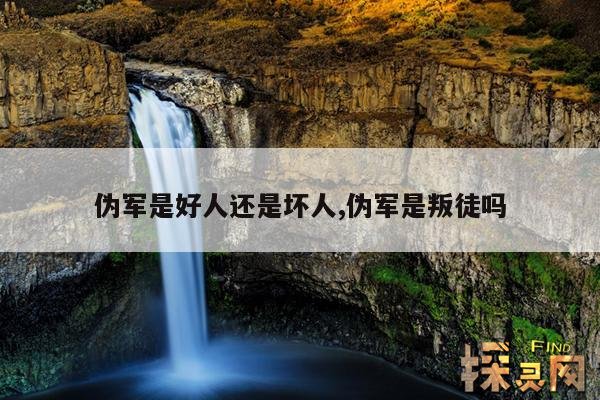 伪军是好人还是坏人,伪军是叛徒吗