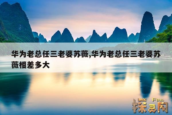 华为老总任三老婆苏薇,华为老总任三老婆苏薇相差多大