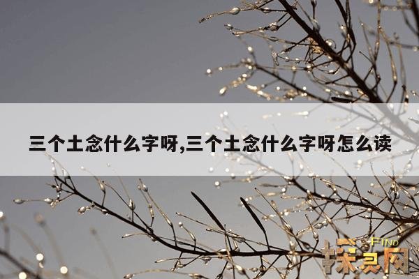 三个土念什么字呀,三个土念什么字呀怎么读