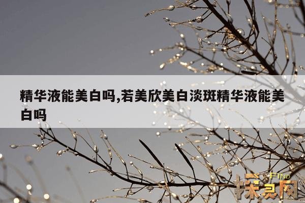精华液能美白吗,若美欣美白淡斑精华液能美白吗