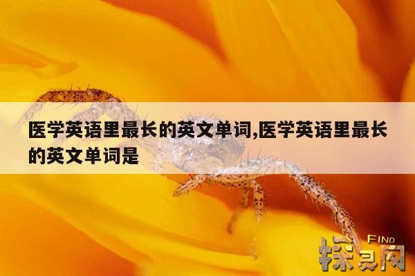 医学英语里最长的英文单词,医学英语里最长的英文单词是