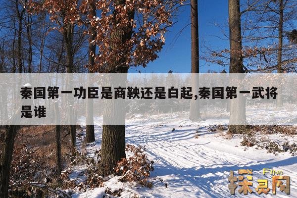 秦国第一功臣是商鞅还是白起,秦国第一武将是谁